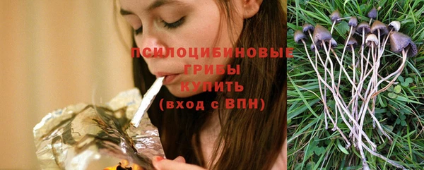 герыч Пестово
