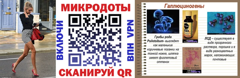 Галлюциногенные грибы Psilocybine cubensis Октябрьск